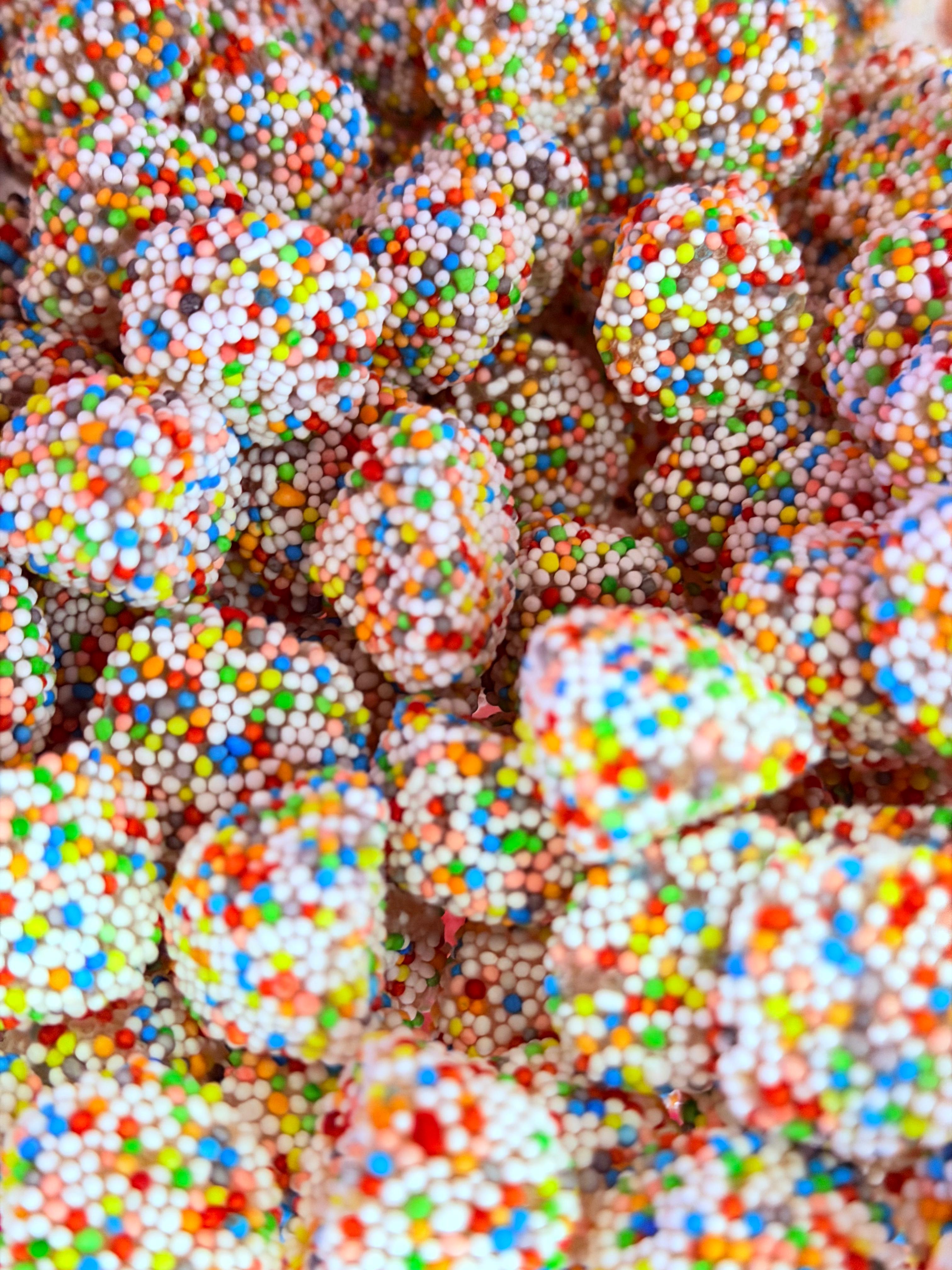 Amoras multicolor Fini